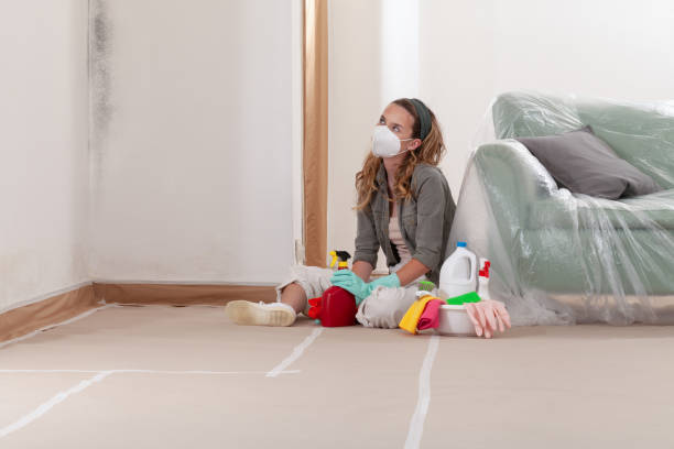 Reliable Basement Mold Remediation contractor in Zebulon, GA by Mold Remediation HQ